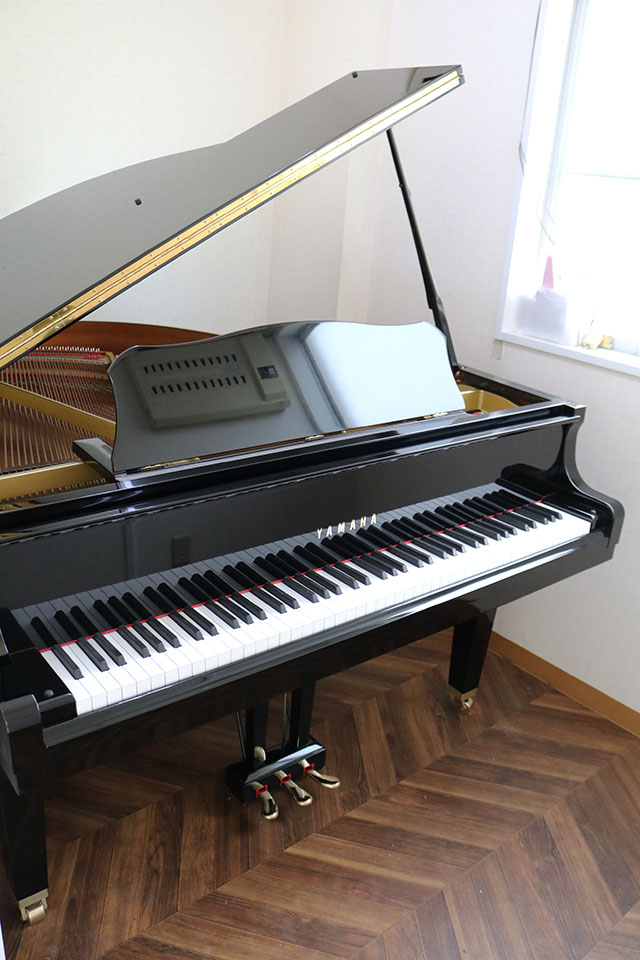 グランドピアノトピアノ